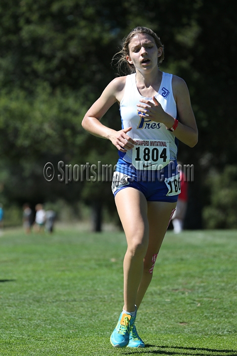 2015SIxcHSD2-235.JPG - 2015 Stanford Cross Country Invitational, September 26, Stanford Golf Course, Stanford, California.